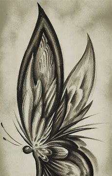 insectivorous plants drawing easy