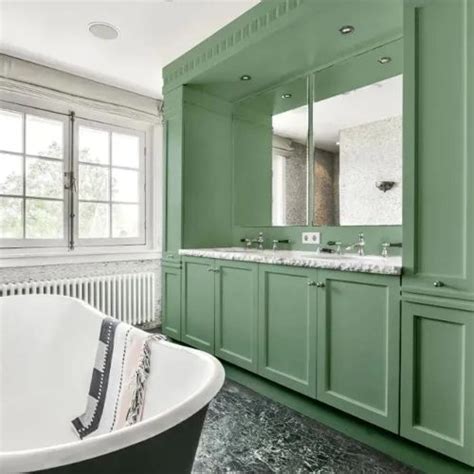 Mid-tone green NCS paint colors reviews