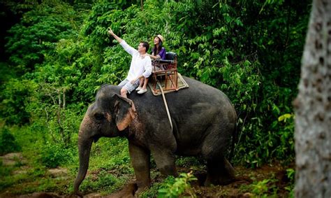 10 Places for Elephant Trekking in Thailand in 2026