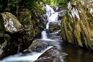 THE RAINFOREST VILLAGE NELUWA (Updated 2026) All You Need to Know ...