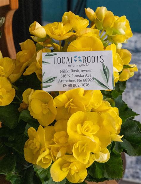 For the (teen) girls pottery and flower bar!, 516 Nebraska Ave ...