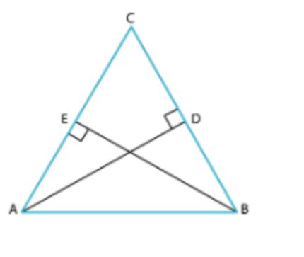 Image result for Triangle Chapter Class 9