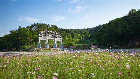 湖北襄阳：护城河畔 夏景怡人-人民图片网