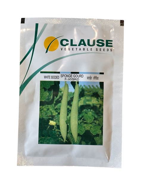 White Seeded Sponge Gourd Clause Seeds 25GM