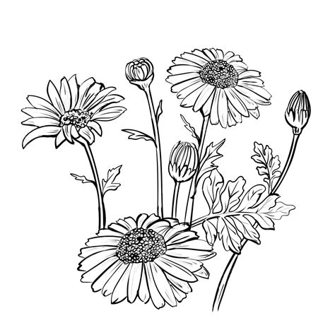 Image result for Desgin Von Lado in HTML CSS JavaScript