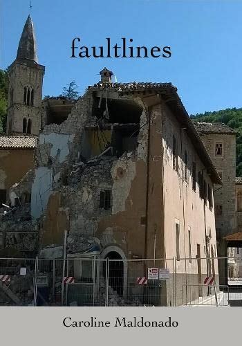 Buy Faultlines Book Online at Low Prices in India | Faultlines Reviews ...