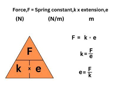 Image result for Spring Constant Examples