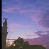 x SUBJECT - SCIENCE ch.6.15 BIOLOGY 9-1 what are the differences ...