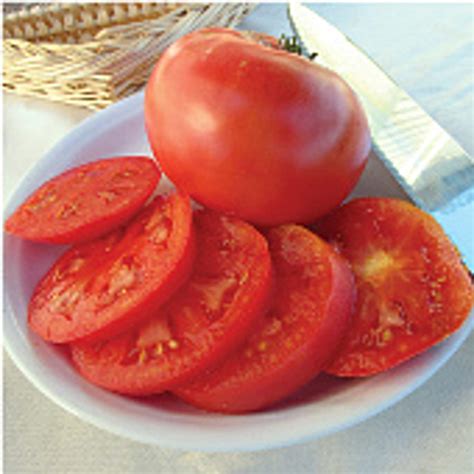 Momotaro Tomato Seeds 20 Seeds Non Gmo Vegetable Fruit Herb ...