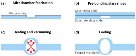 Pneumatically Actuated Thin Glass Microlens for On-Chip Multi ...