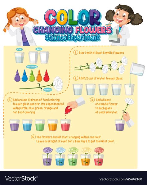 Image result for Color Changing Experiment