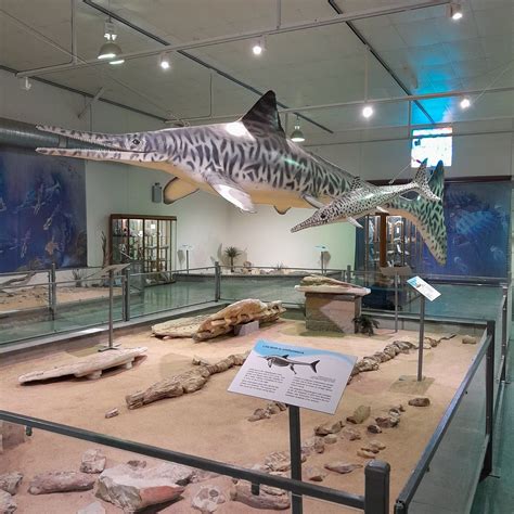 KRONOSAURUS KORNER (2025) All You Need to Know BEFORE You Go (with ...