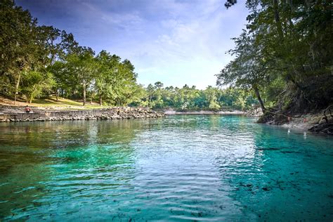 Image result for Little Devil Spring