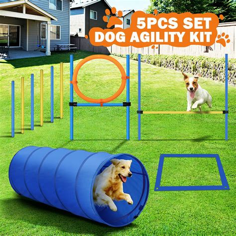 Dog Agility Equipment 5 Set Pet Pet Scene Puppy Training Kit Jump ...