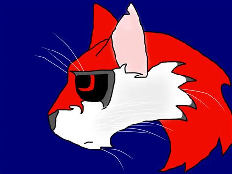 Image result for Knockout Cat Fighting Scripts