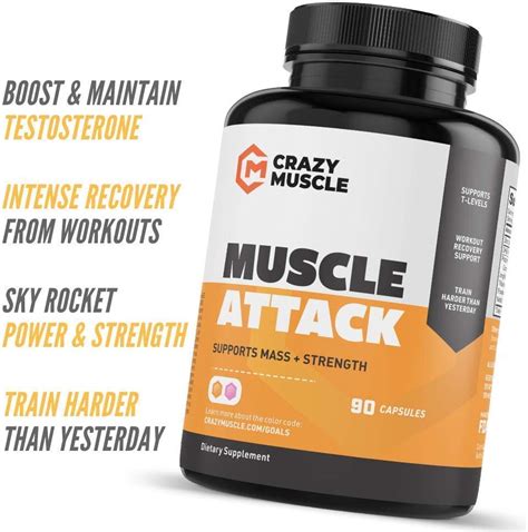 Buy Get Stronger with Creatine, BCAA and Muscle Attack (2 Month Supply ...