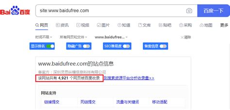 网站被搜索引擎惩罚的应对措施（seo作弊处罚方式）-8848SEO
