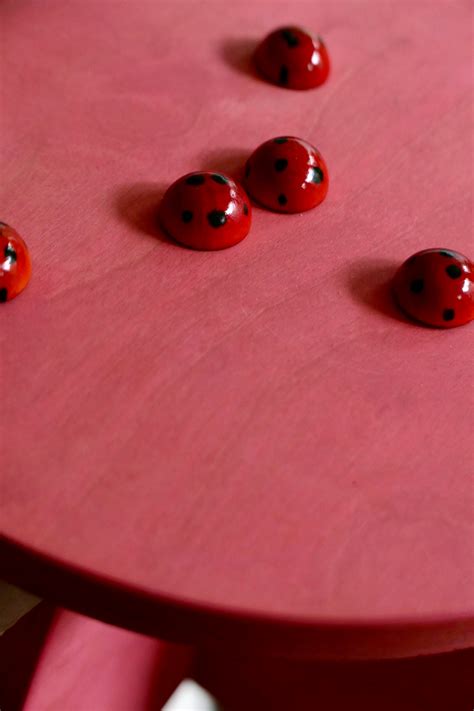 Ladybugs | House of RoRo