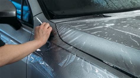 Image result for Vehicle Paint Protection