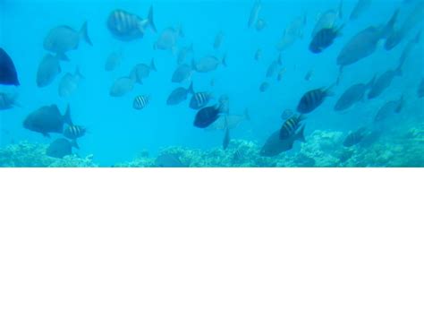 SEAWORLD OBSERVATORY (2026) All You Need to Know BEFORE You Go (with ...