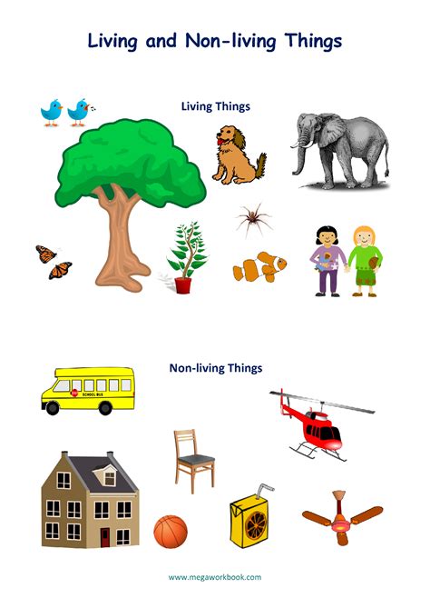 Living And Non Living Things Grade 4 Lesson Plan - Free Worksheets ...