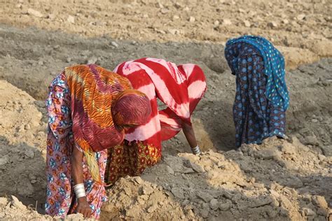 Brigade Expands in Chennai with Rs 4,417 Mn Land Acquisition