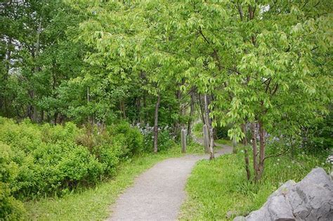 SANGER MEMORIAL RV PARK (Grand Falls Windsor, Newfoundland ...