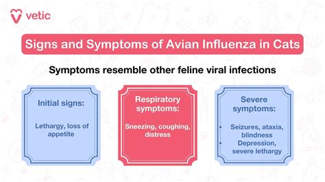 Avian Influenza in Cats: Cats at Risk of Bird Flu