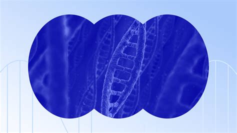 Image result for benchling