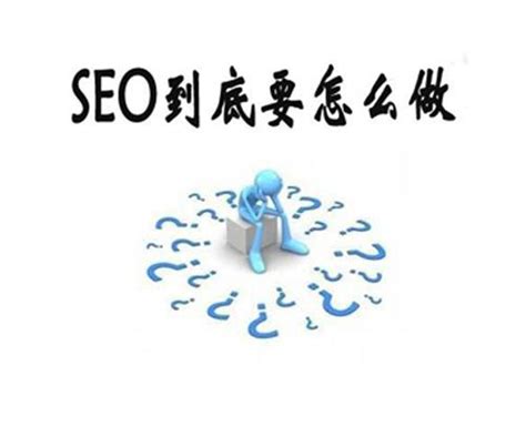 网站seo的优化怎么做（分析新手建站必须懂的七条seo规则）-8848SEO