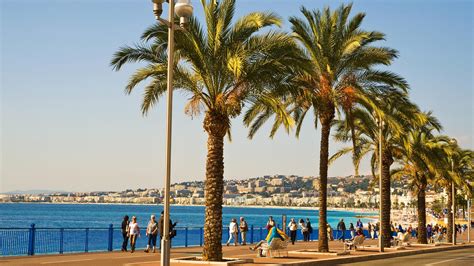 LE BISTROT DE JAN, Nice - Restaurant Avis, Numéro de Téléphone & Photos ...