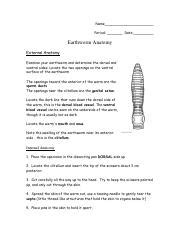 Image result for Free Virtual Earthworm Dissection Lab