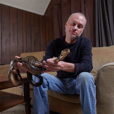 Python Eats Human Baby 的图像结果