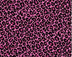 Pink Leopard Print Wallpaper by Pink Leopard Print Wallpapers Desktop Background Pink Leopard Print Wallpaper