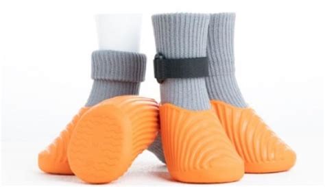 Amazon.in Bestsellers: The most popular items in Boots & Paw Protectors