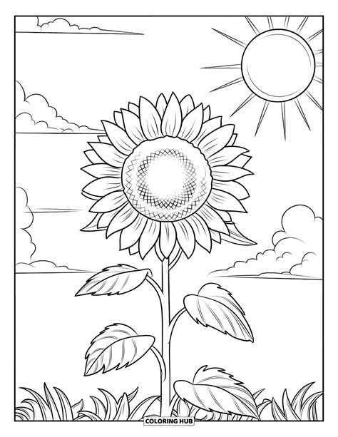 130+ Sunflower Coloring Pages for Kids & Adults (Free Printable PDFs)
