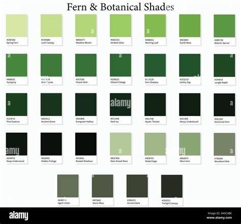 Color Swatches 32 Fern and Botanical Shades - 3d Light Faded Moss ...