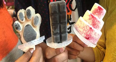 Have You Spotted This Ice Cream Tuk-Tuk In Rajouri Garden, yet? | Delhi ...