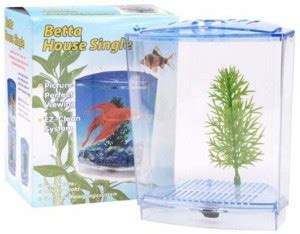 Askadeal Betta house single aquarium Concave View Aquarium Tank Price ...