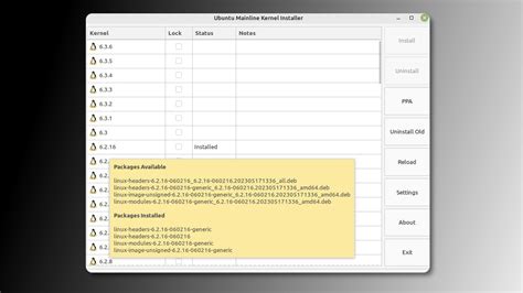 Kernel Install 的图像结果