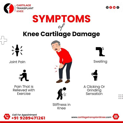 Symptoms of Knee Cartilage Damage by CartilageTransplant on DeviantArt