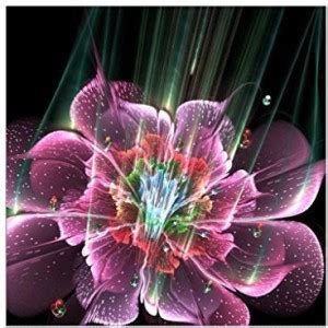 Eastone DIY 5D Diamond Painting Embroidery - 3030CM Dream Flower 10 ...