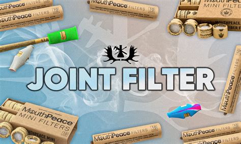 Joint Paper Mit Filter