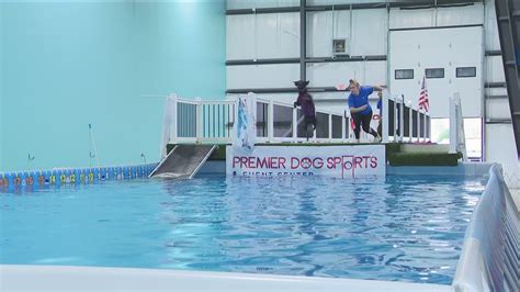 Dog jumping contest happening in WNY | wgrz.com