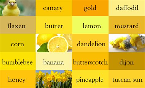 Image result for Prime Numbers 1 to 100 Java Program