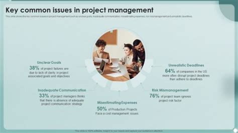 Image result for Project Management Issues List Example