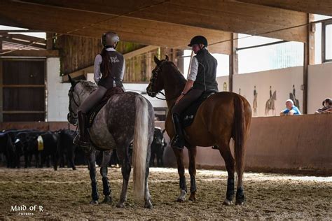 WED Rindertraining, Reitschule Anja Oetting, Leverkusen, February 16 to ...