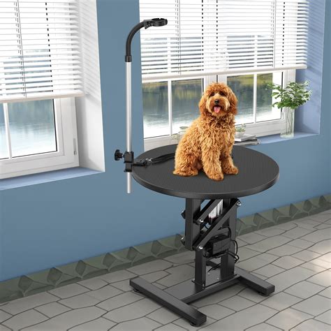 Dextrus Electric Lift Dog Grooming Table 24" Rotating Desktop Pet ...