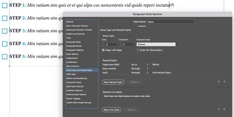 13+ Adobe Indesign Styles Set Indd