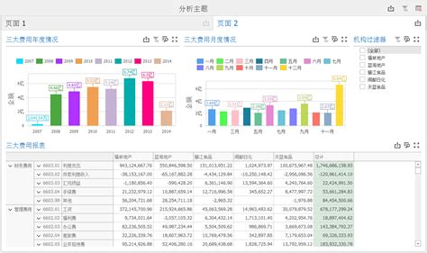 如何做费用数据分析图表 - 财务分析 - 数林信息官网